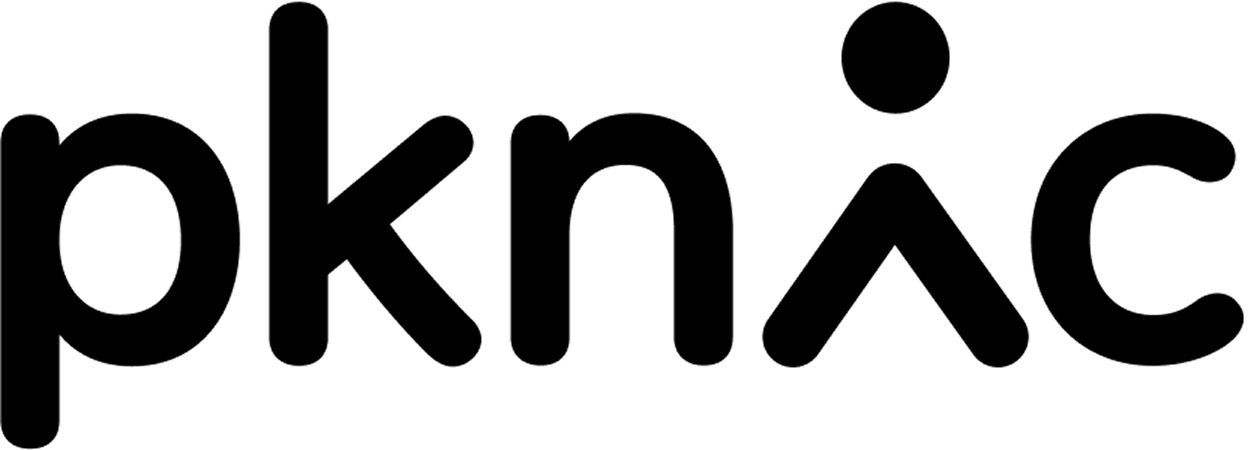 PKNIC logo